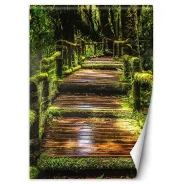 fototapeta-mostek-w-zielonym-lesie-150x210