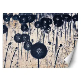 fototapeta-monochromatyczne-dmuchawce-na-postarzanych-deskach-450x315