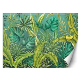 fototapeta-liscie-monstera-368x254