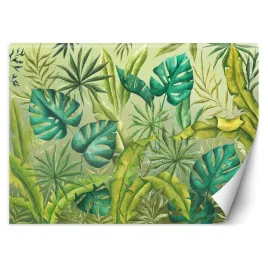 fototapeta-liscie-monstera-450x315