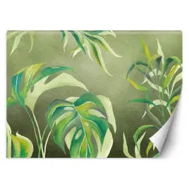 fototapeta-liscie-monstera-450x315