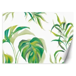 fototapeta-liscie-monstera-450x315