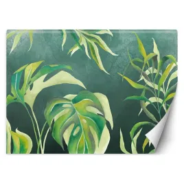 fototapeta-liscie-monstera-450x315