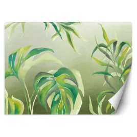 fototapeta-liscie-monstera-200x140