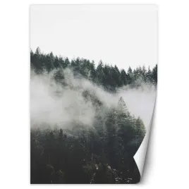 fototapeta-las-i-mgla-w-gorach-200x280