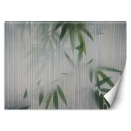 fototapeta-liscie-zielone-cien-300x210