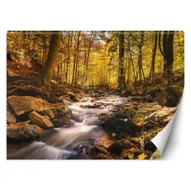 fototapeta-lesny-potok-jesienia-400x280