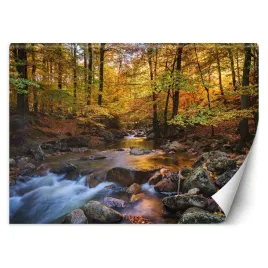 fototapeta-lesna-rzeczka-400x280
