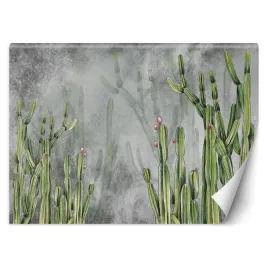 fototapeta-duzy-kaktus-pustynny-300x210