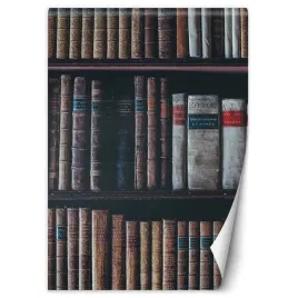 fototapeta-biblioteka-ksiazek-100x140