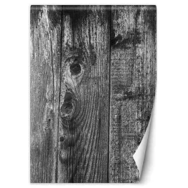 fototapeta-czarno-biale-deski-200x280