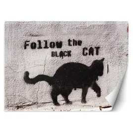 fototapeta-czarny-kot-follow-the-black-cat-beton-300x210