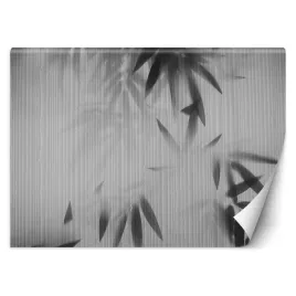 fototapeta-kwiaty-szary-450x315