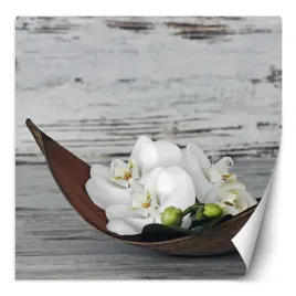 fototapeta-kwiaty-bialej-orchidei-na-tle-starej-deski-200x200