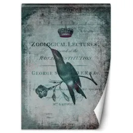 fototapeta-ptak-galaz-natura-abstrakcja-100x140