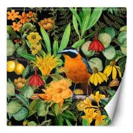 fototapeta-kolorowy-abstrakcja-ptak-natura-300x300