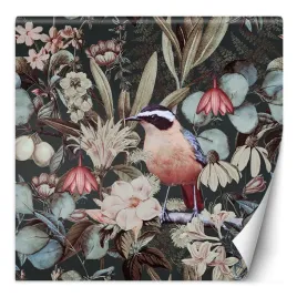 fototapeta-ptak-natura-abstrakcja-haase-300x300