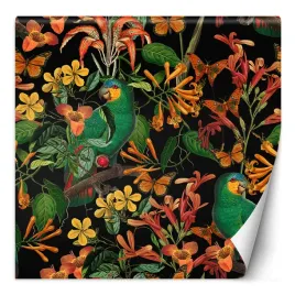 fototapeta-ptak-na-tle-lisci-abstrakcja-300x300