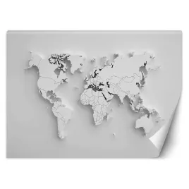 fototapeta-zarys-kontynentow-3d-mapa-swiat-450x315