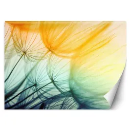 fototapeta-kolorowe-dmuchawce-rosliny-250x175