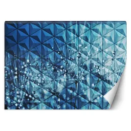 fototapeta-krople-rosy-dmuchawiec-geometri-350x245