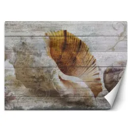 fototapeta-muszle-w-stylu-vintage-deski-200x140