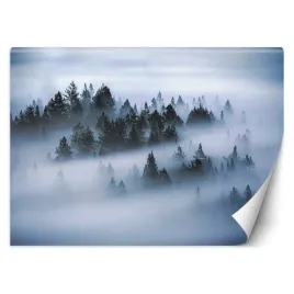 fototapeta-3d-las-we-mgle-widok-z-gory-450x315