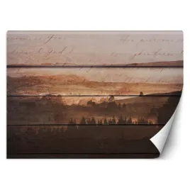 fototapeta-las-na-deskach-vintage-retro-350x245