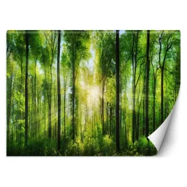 fototapeta-3d-promienie-slonca-zielony-las-450x315