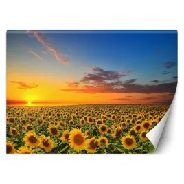 fototapeta-3d-pole-slonecznikow-krajobraz-300x210