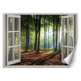 fototapeta-3d-okno-poranek-w-lesie-wschod-140x100