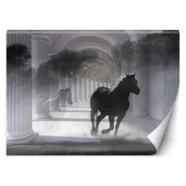 fototapeta-biegnacy-kon-w-tunelu-efekt-3d-300x210