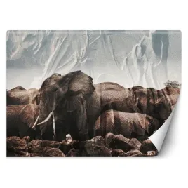 fototapeta-3d-slonie-w-stadzie-pustynia-300x210