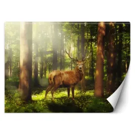 fototapeta-3d-jelen-w-lesie-natura-450x315