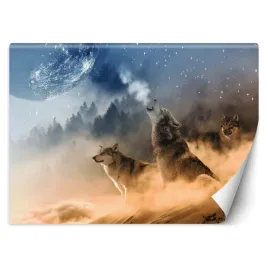 fototapeta-3d-wyjace-wilki-pelnia-ksiezyca-450x315