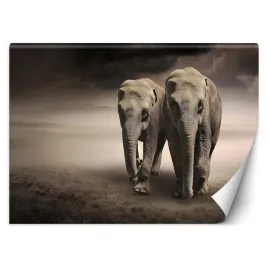 fototapeta-3d-para-wedrujacych-sloni-mgla-300x210