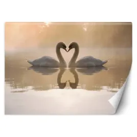 fototapeta-3d-zakochane-labedzie-serce-450x315