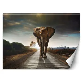fototapeta-3d-wedrujacy-slon-afryka-slonce-450x315