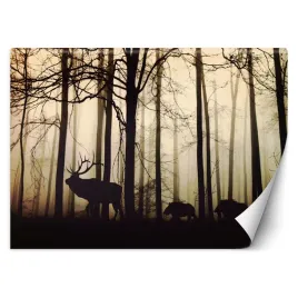 fototapeta-3d-zwierzeta-w-lesie-zmrok-450x315