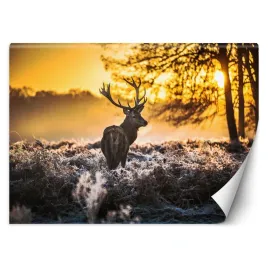 fototapeta-3d-jelen-we-mgle-zachod-slonca-450x315
