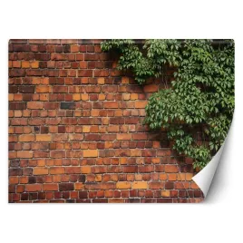 fototapeta-3d-sciana-mur-z-cegly-i-pnacze-400x280
