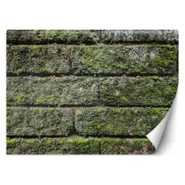 fototapeta-sciana-porosniety-ceglany-mur-450x315