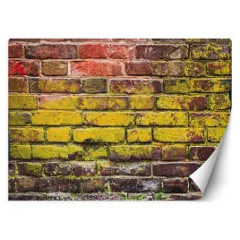 fototapeta-3d-sciana-stary-mur-z-cegiel-100x70