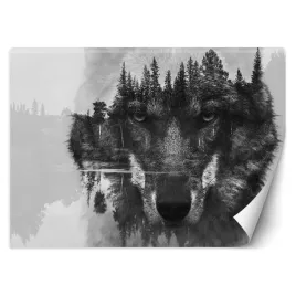 fototapeta-3d-wilk-i-las-jezioro-woda-450x315