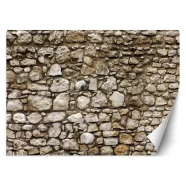 fototapeta-3d-mur-sciana-z-kamienia-450x315