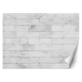 fototapeta-3d-sciana-mur-biale-cegly-450x315
