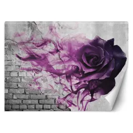 fototapeta-3d-fioletowa-roza-malowana-mur-150x105