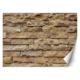 fototapeta-3d-mur-sciana-z-piaskowca-450x315