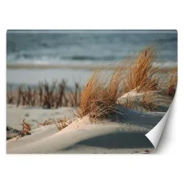fototapeta-wydmy-nad-morzem-baltyckim-plaz-350x245