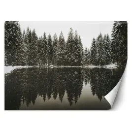fototapeta-3d-jezioro-w-lesie-zima-snieg-450x315